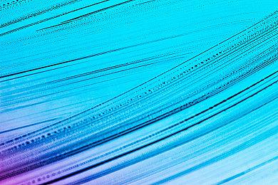 《原神》3.1版本PV公布 9月28日上线